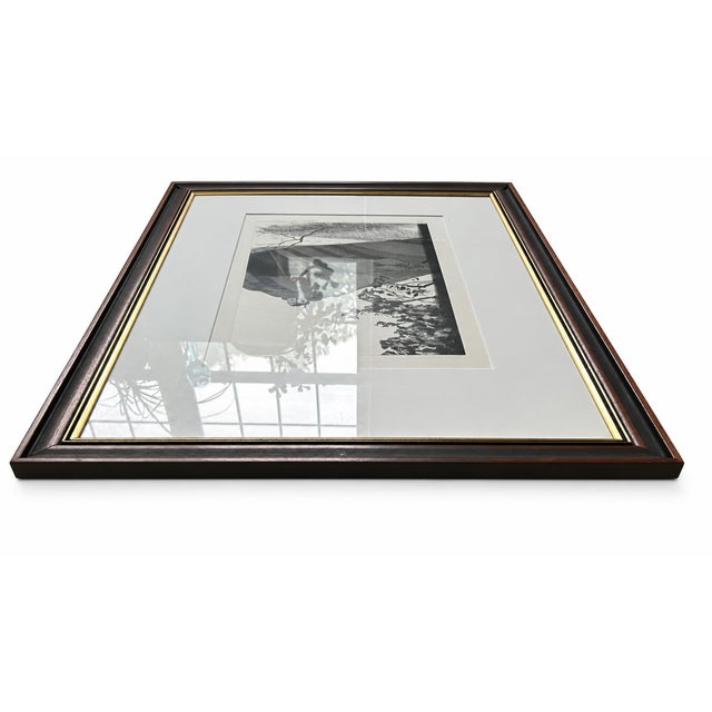 1969 David Hockney “A Wooded Landscape” Framed Etching, Edition 53/100 With Certificate of Authenticity For Sale - Image 9 of 11