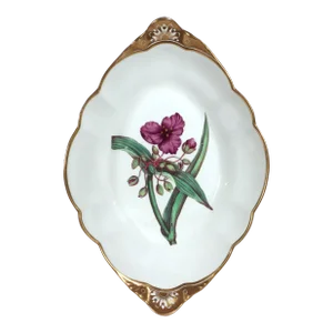 Spode Porcelain Botanical Specimen Dish With a Spiderwort Plant After William Curtis