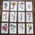Antique 19th Century Edward Hulme Botanical "Garden Flowers" Lithographs - Set of 12 - Super Price! For Sale - Image 9 of 9