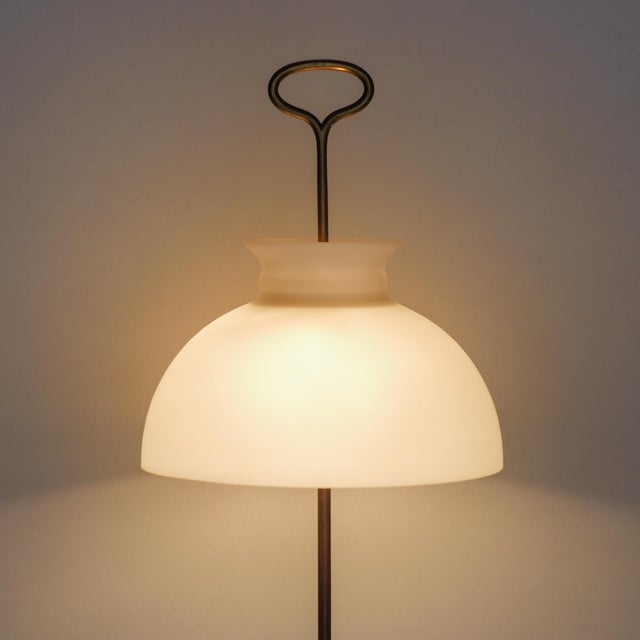 Arenzano Table Lamp by Ignazio Gardella for Azucena, 1956 For Sale - Image 6 of 18