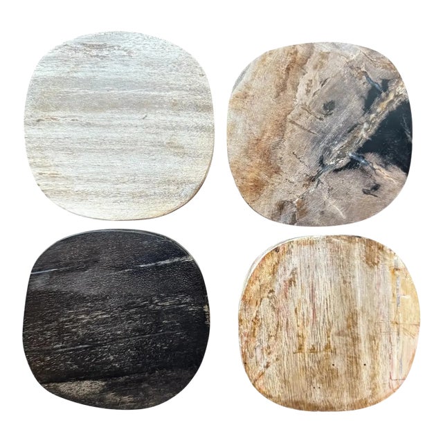 Polished Stone Coasters - Set of 4 For Sale