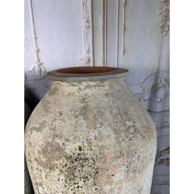 Olive Pair of Monumental Terracotta Olive Jars With Weathered Patina For Sale - Image 8 of 17