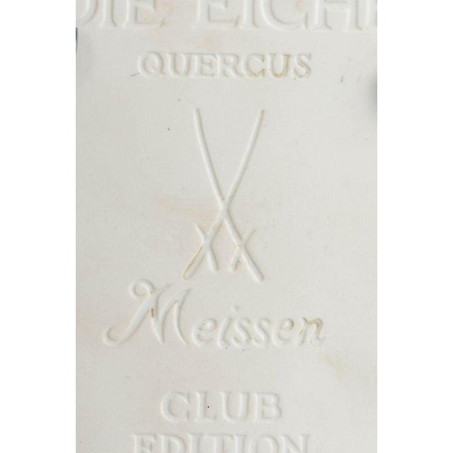 Relief Plaque in White Biscuit Porcelain with Motif of Tree from Meissen, 1970s For Sale - Image 4 of 5