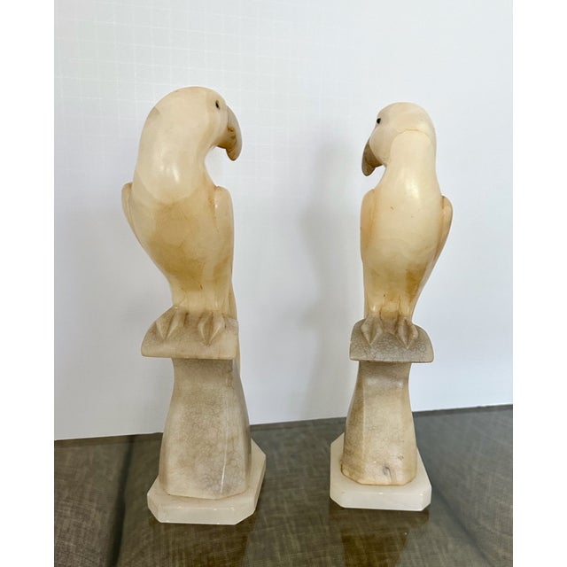 Stone Pair Italian Alabaster Parrot Bird Sculptures - Mid Century For Sale - Image 7 of 18