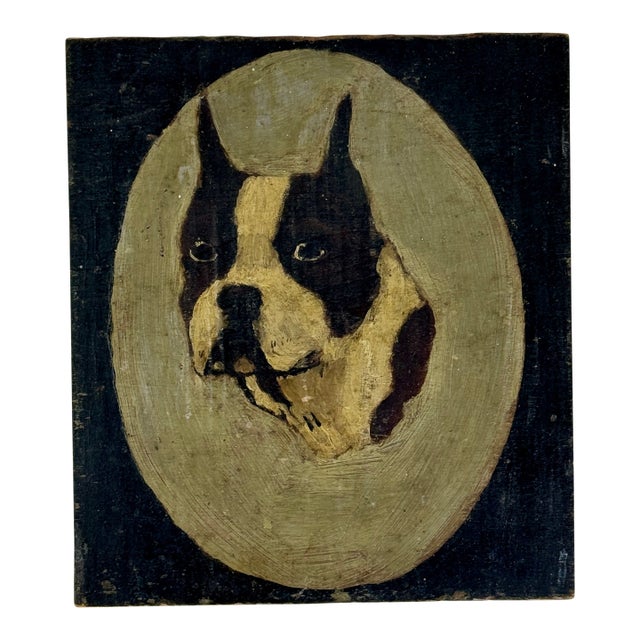 Stunning Antique Folk Art Oil on Board Painting of Boston Terrier Dog For Sale