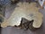 Metal MCM Bronze Large Tree Trunk Table Base by Century Furniture Co. Grand Tour For Sale - Image 7 of 9