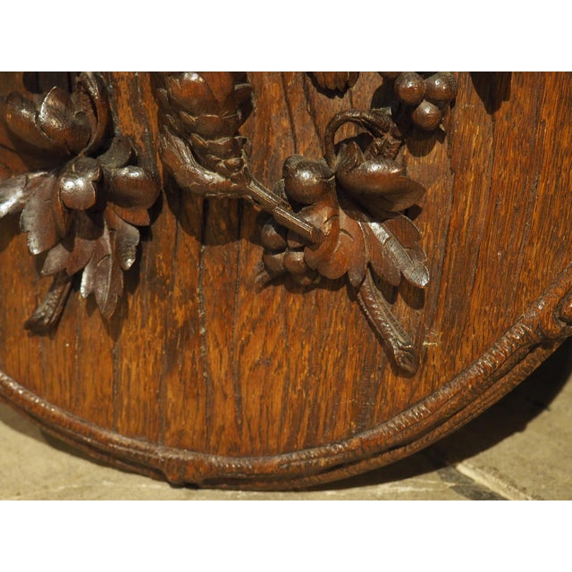 19th Century French Oval Black Forest Game Plaque With Bark Trompe L’Oeil For Sale - Image 9 of 12