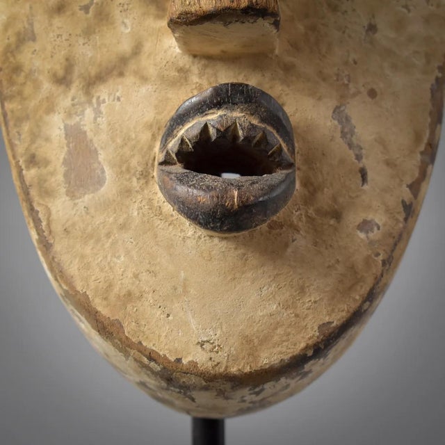 African Early 20th Century Fang Mask Ngil Society Gabon For Sale - Image 3 of 10