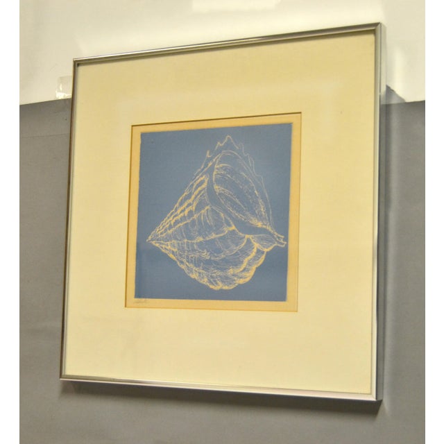 Framed Realism Blue & Beige Seashell Pencil Painting, Fine Art Brushed Chrome For Sale - Image 4 of 11