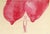 Contemporary Louise Bourgeois Official Exhibition Poster For Sale - Image 3 of 3