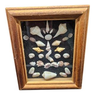 Framed Seashell Art Piece or Shell Mandala For Sale