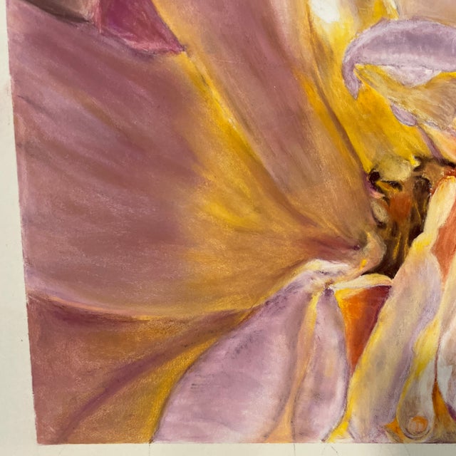 1990s Original Signed Oil Pastel Floral – Pink, Yellow & White Flower, Unknown Artist For Sale - Image 4 of 7