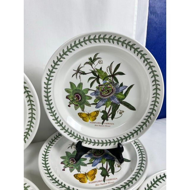 1970s 1972 Portmeirion Botanic Garden Dinner Plates- Set of 12 For Sale - Image 5 of 12