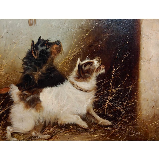 English George Armfield - a Pair of Terriers - 19th Century Oil Painting For Sale - Image 3 of 11