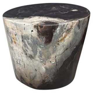 Andrianna Shamaris Impressive Ancient Petrified Wood Side Table For Sale