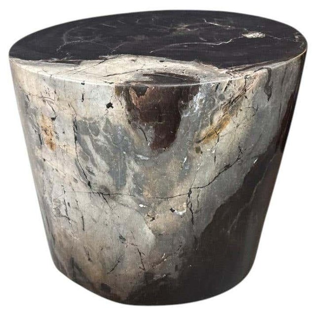 Andrianna Shamaris Impressive Ancient Petrified Wood Side Table For Sale