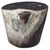 Andrianna Shamaris Impressive Ancient Petrified Wood Side Table For Sale