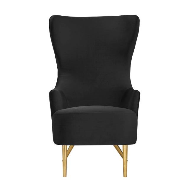 Meet Julia, the glamorous wingback chair brought to you by Inspire Me Home Decor and TOV. With its high back, elegantly...