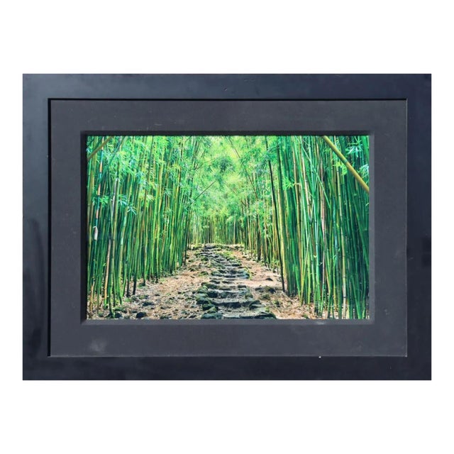 Lucky Bamboo Path Photo Taken by Peter Lik in Maui Hawaii, Green Bamboo, Framed For Sale