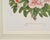 Set of Nine Botanical Lithograph Prints After Louis Van Houtte For Sale - Image 14 of 18