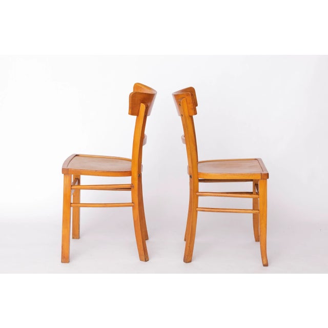 Vintage Frankfurter Dining Chairs in Beech, Germany, 1960s, Set of 4 For Sale - Image 4 of 10