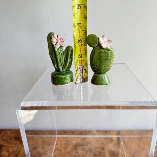 1950s Vintage Ceramic Cactus Salt and Pepper Shakers- A Pair For Sale - Image 5 of 9