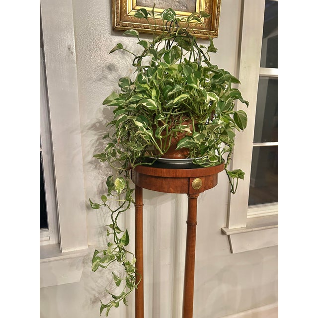 Hollywood Regency Vintage Neoclassical Burl Veneer & Brass Three-Column Plant Stand or Pedestal For Sale - Image 3 of 10