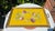 Wood Art Deco Wooden Tray with Embroidered Lion Paws, 1920s For Sale - Image 7 of 7
