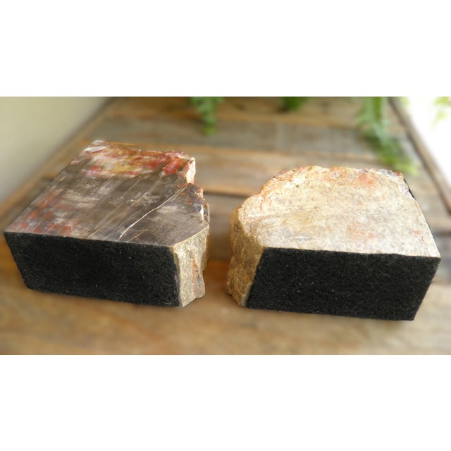 1970s Amazing Polished Arizona Rainbow Petrified Wood Bookends For Sale In Wichita - Image 6 of 9