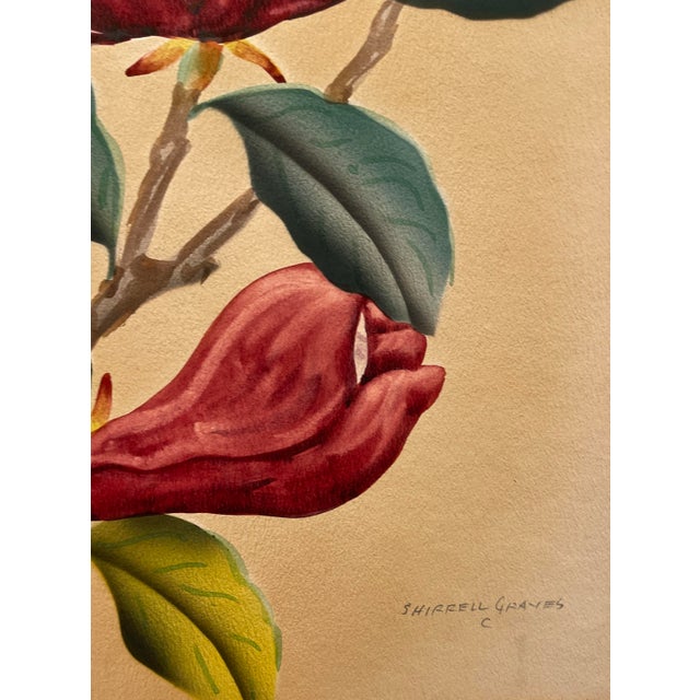 Mid-Century Modern 1940s Shirrell Graves Saucer Magnolia Painting For Sale - Image 3 of 7