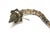 Chinoiserie Asian Metal Filigree Opium Pipe, Silver Plate, Chinoiserie Style, 1920 For Sale - Image 3 of 17