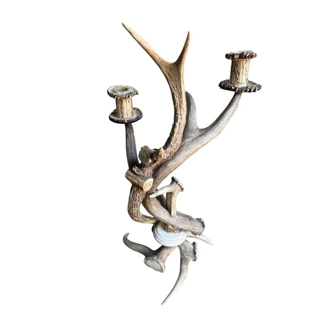 Antler Candelabra Black Forest Decor For Sale - Image 4 of 7