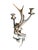 Antler Candelabra Black Forest Decor For Sale - Image 4 of 7