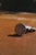 Late 19th Century Antique Wax Seal For Sale - Image 5 of 5