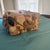 Embrace casual coastal elegance with this charming folk-art style decorative box. The exterior features a meticulously...