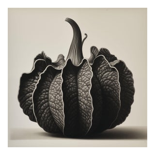 Pumpkin Squash No. 1 - Black and White Limited Edition Botanical Photograph Print | Unframed For Sale