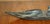 Fine Alex Patsauq 1917 Signed Serial Number Inuit Eskimo Soapstone Kayak Carving For Sale - Image 11 of 18