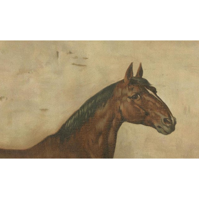 After Eerelman, Holstein Horse Portrait,.1898, Lithograph For Sale - Image 4 of 10