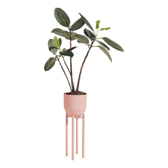 8" Inch Planter Stand - Peach For Sale