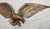 1960s Very Heavy Vintage Solid Bronze Wall Mount American Bald Eagle Bird Brass Statue For Sale - Image 5 of 7