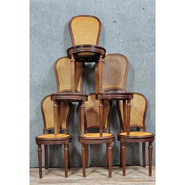 Louis XVI Style Mahogany Racket Chairs, Set of 6 For Sale - Image 9 of 9