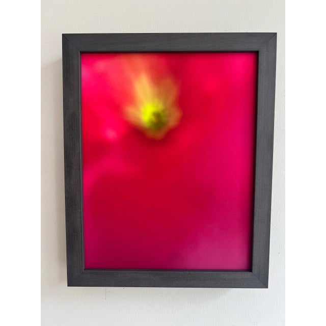 Orange Power Flower (Study I) Abstract Botanical Photograph by Natalie Mitchell For Sale - Image 8 of 9