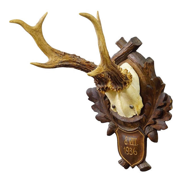 Antique Black Forest Red Deer Trophy on Carved Plaque, Germany 1936 For Sale