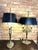 1990s 1990s Pair of Brass French Empire Swan Tóle Bouillotte Lamps. For Sale - Image 5 of 12