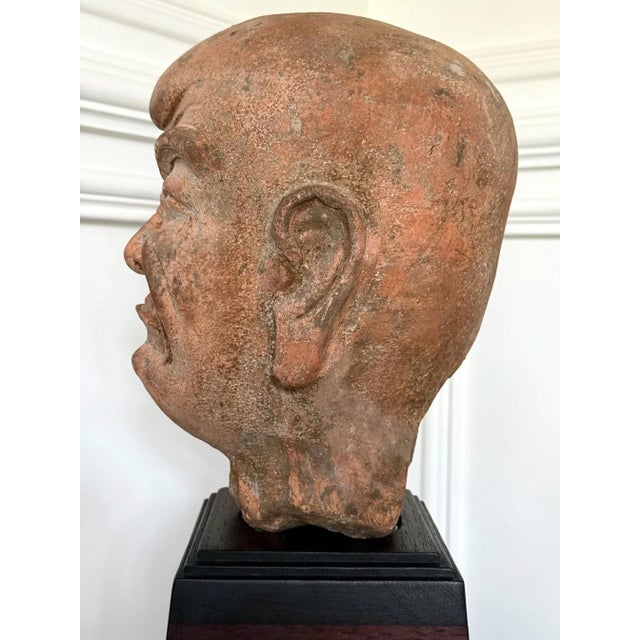 18th Century Rare Finely Molded Terracotta Luohan Head China Qing Dynasty For Sale - Image 11 of 12