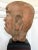 18th Century Rare Finely Molded Terracotta Luohan Head China Qing Dynasty For Sale - Image 11 of 12