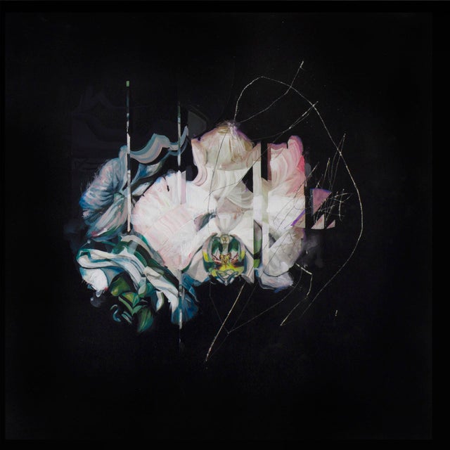 In "Specter Boarder," a vibrant bouquet of flowers emerges against a stark black background, creating a striking contrast...