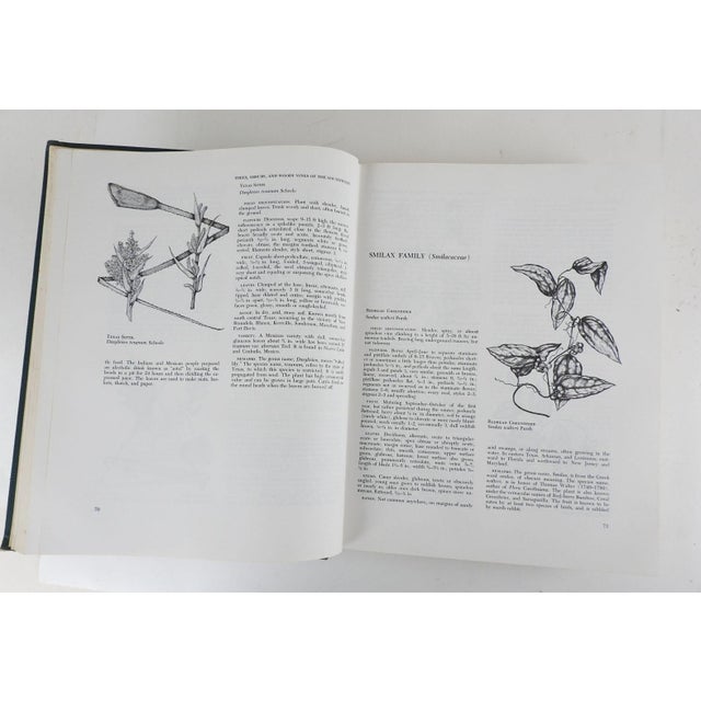 1960 Trees, Shrubs, and Woody Vines of the Southwest Book Chairish