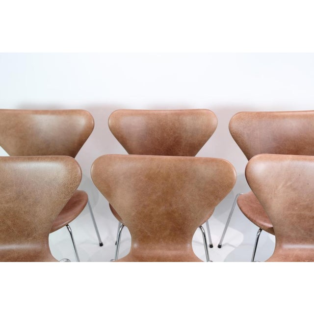 Brown Series Seven Model 3107 Chairs by Arne Jacobsen for Fritz Hansen, Set of 6 For Sale - Image 8 of 16