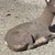 Sculpture Materials Vintage Reclining Fawn Seated Deer Small 16" Cement Concrete Stone Garden Statue For Sale - Image 7 of 15
